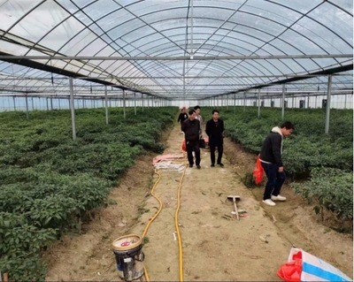 伍市鎮 多措并舉，織密織牢疫情防控期間水產養殖質量安全網
